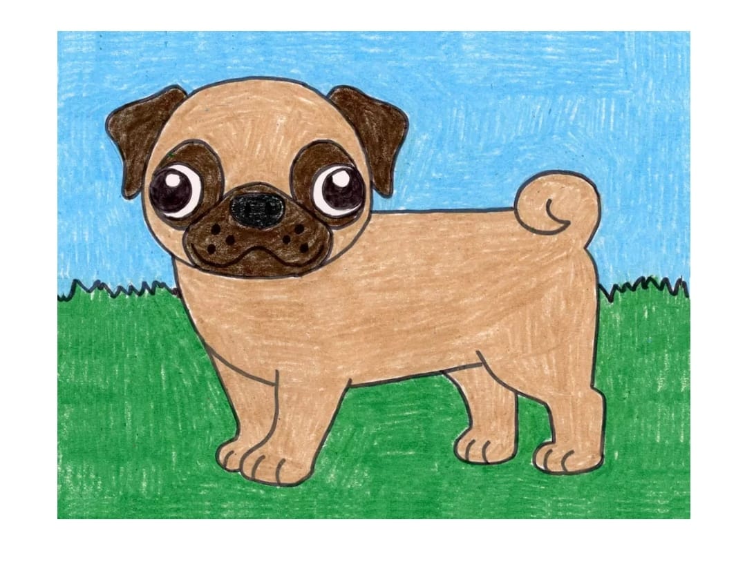 pug