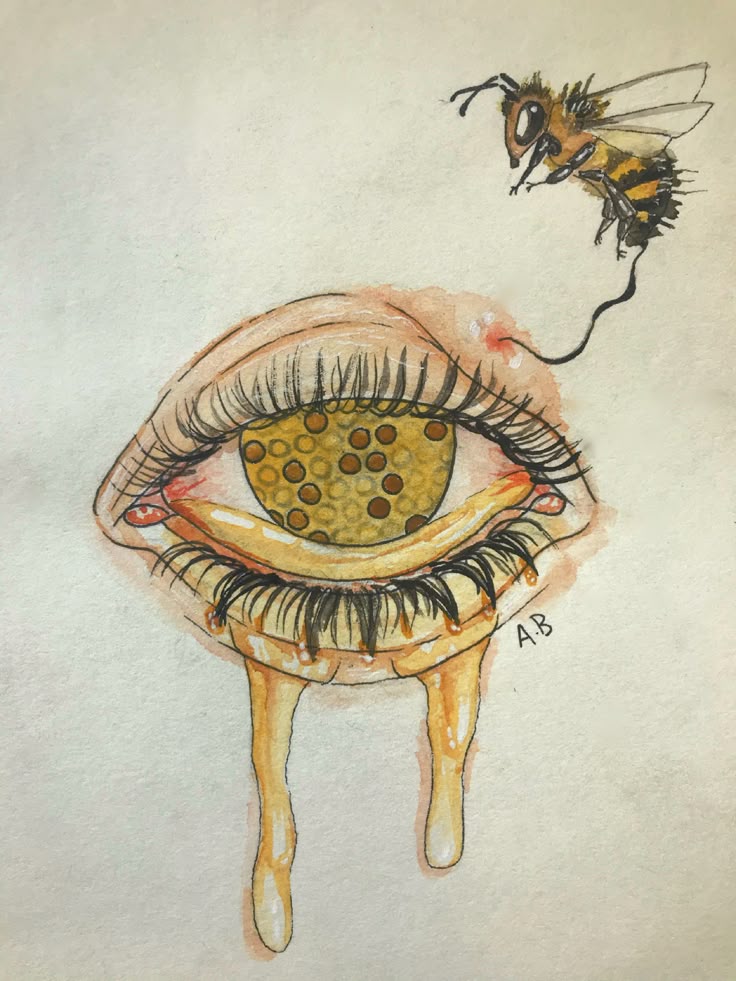 eye