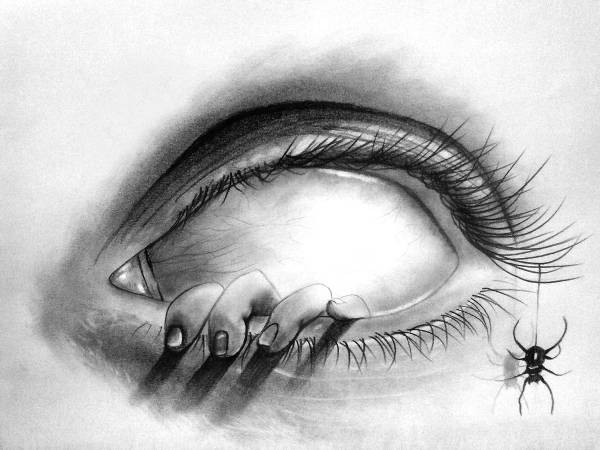the eye